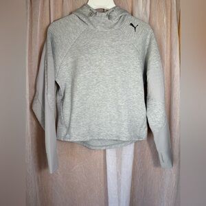 Puma Women’s Evostripe Hooded Pullover Sweatshirt-Size: M-Color: Light Gray